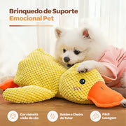 Amiguinho Duck - Pato de Pelúcia