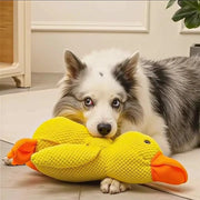 Amiguinho Duck - Pato de Pelúcia