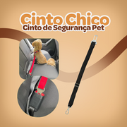 CINTO CHICO - FRETE GRÁTIS