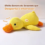 Amiguinho Duck - Pato de Pelúcia