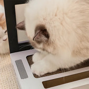 Laptop com Arranhador | Arranha Chico