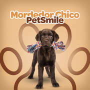 Mordedor Chico | PetSmile