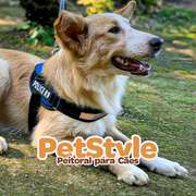 Peitoral PetStyle - Frete Grátis .