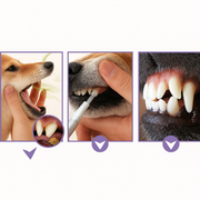 PetFresh Gel | Frete Grátis