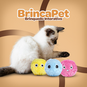 BrincaPet - Frete Grátis .