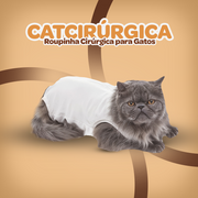 PETCIRÚRGICA | CAT  .