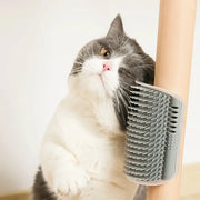 Chico Relax | Massageador com Catnip