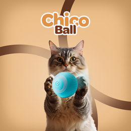 Chico Ball | Brinquedo Interativo