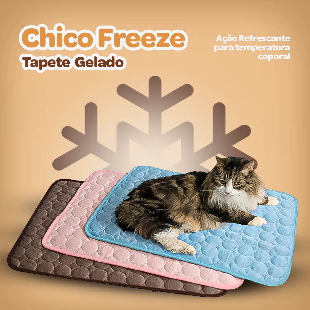 Tapete Gelado | Chico Freeze