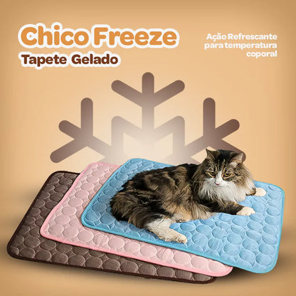 Tapete Gelado | Chico Freeze