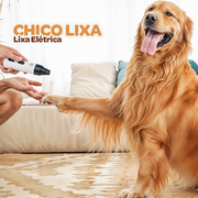 CHICO LIXA | OFERTA RELÂMPAGO.
