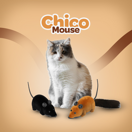 Chico Mouse | Brinquedo Interativo