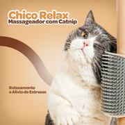 Chico Relax | Massageador com Catnip