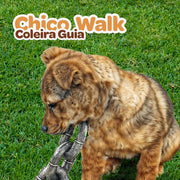 Chico Walk | Coleira Guia
