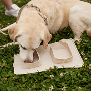 KIT Passeio | Comedouro Portátil + Coletor Higiênico