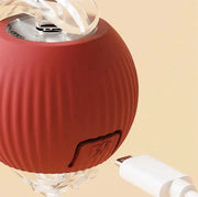 Eletro Bola | Brinquedo Interativo