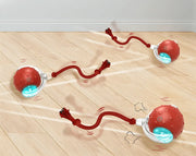 Eletro Bola | Brinquedo Interativo