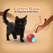 Eletro Bola | Brinquedo Interativo