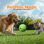 PetPlay Magic - Frete Grátis