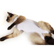 PETCIRÚRGICA | CAT  .