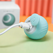 Chico Ball | Brinquedo Interativo