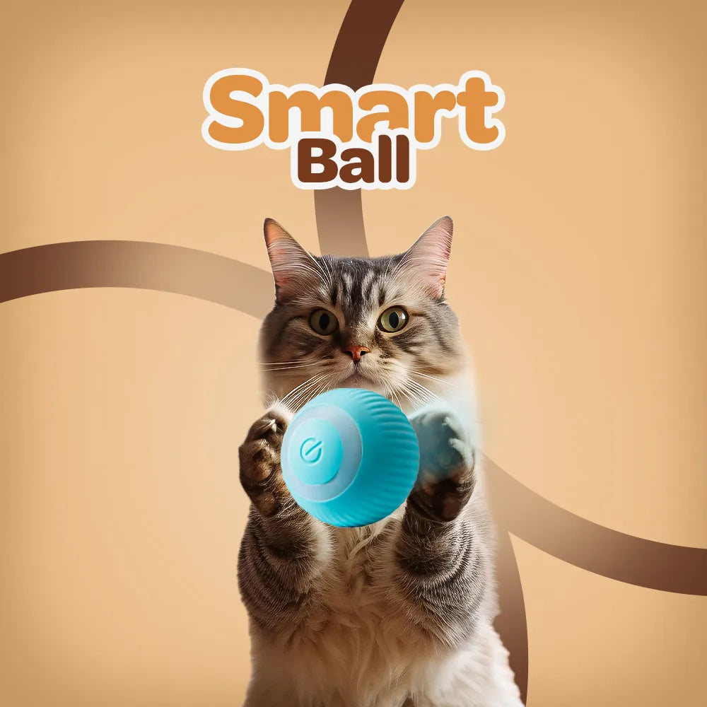 Smart Ball | Brinquedo Interativo