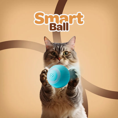 Smart Ball | Brinquedo Interativo