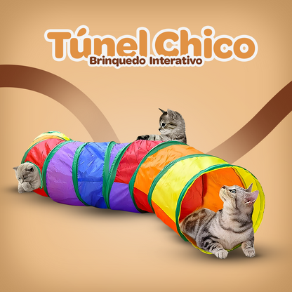 TÚNEL CHICO - INTERATIVO PET | FRETE GRÁTIS