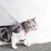 COMFORTSTEP | GUIA PEITORAL